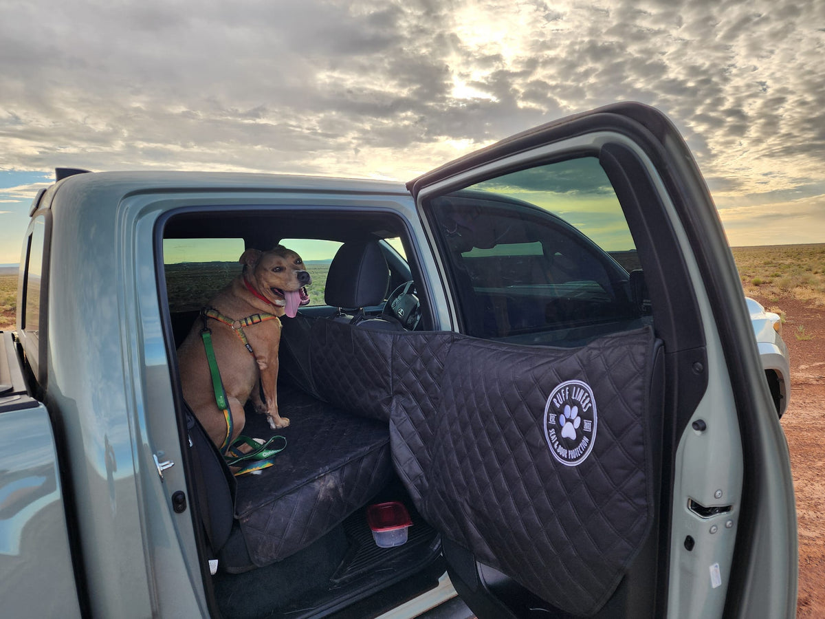 Fall Hiking with Dogs: Protecting Your Car from Mud, Leaves, and Burrs