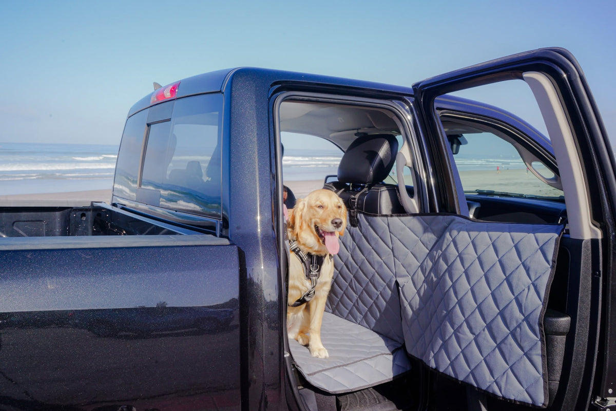 18 Essentials to Pack for a Road Trip With Your Dog