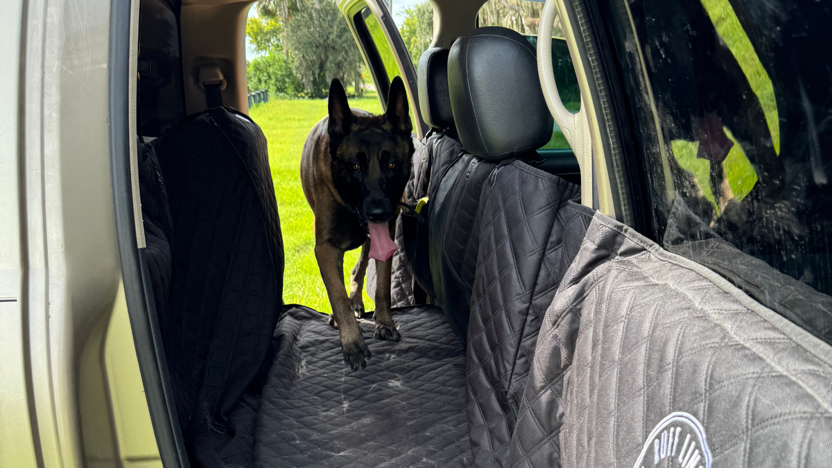 Waterproof vs. Water-Resistant Dog Seat Covers: What's the Real Difference?