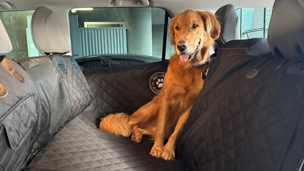 Top 5 Materials Used in Dog Car Seat Covers