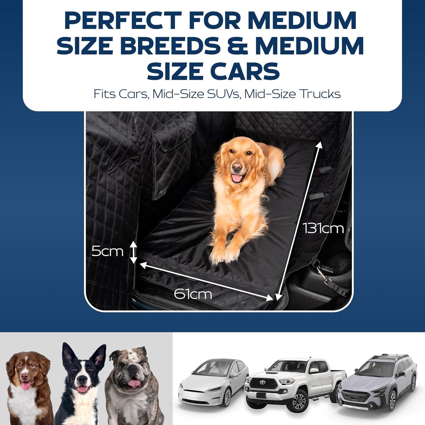 backseat dog bed