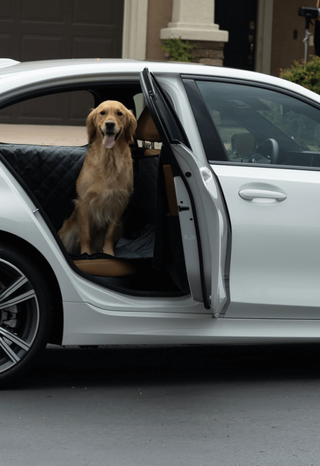 Golden retriever sitting on a Ruff Liners cover in a white sedan