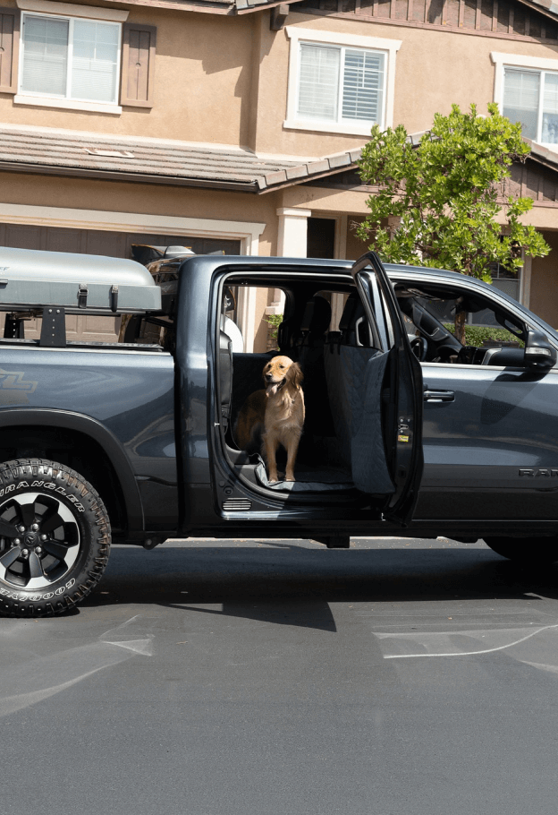 Dog waiting in the open back door of a grey crew cab truck