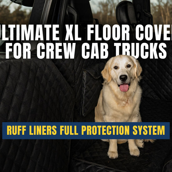 Tactical MOLLE System