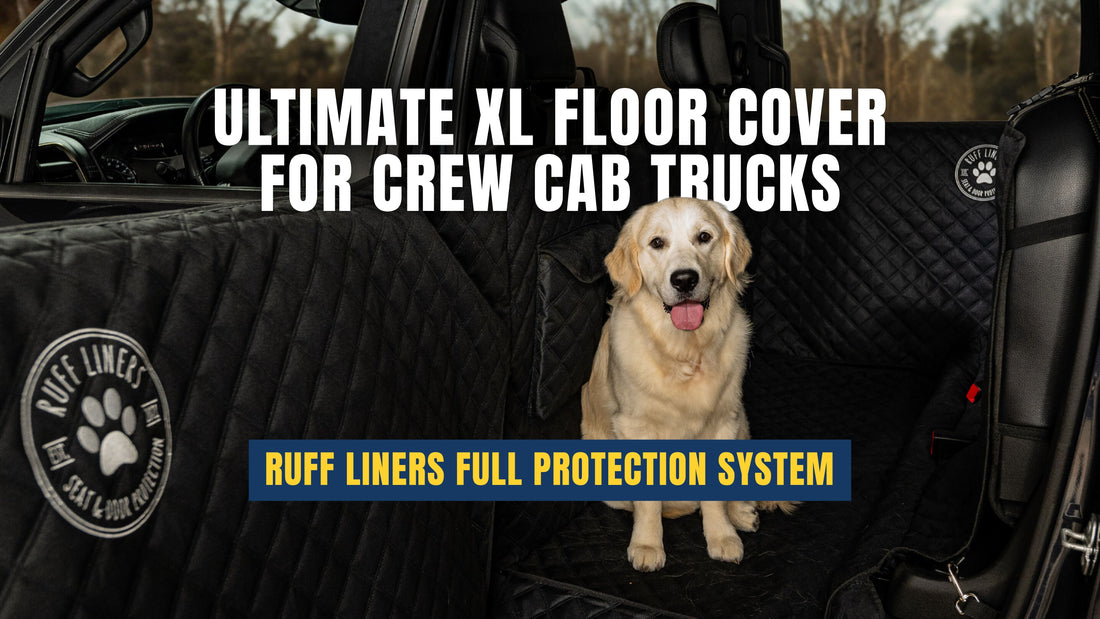 Tactical MOLLE System